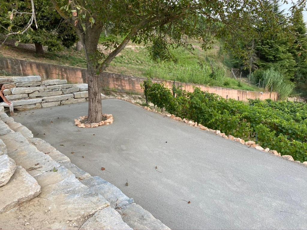 Giarvino Boutique Guest House Acqui Terme Kültér fotó